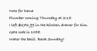 A note in handwriting-style script for Dana about a plumber visit, cash left in a drawer, a gate code and watering the basil.